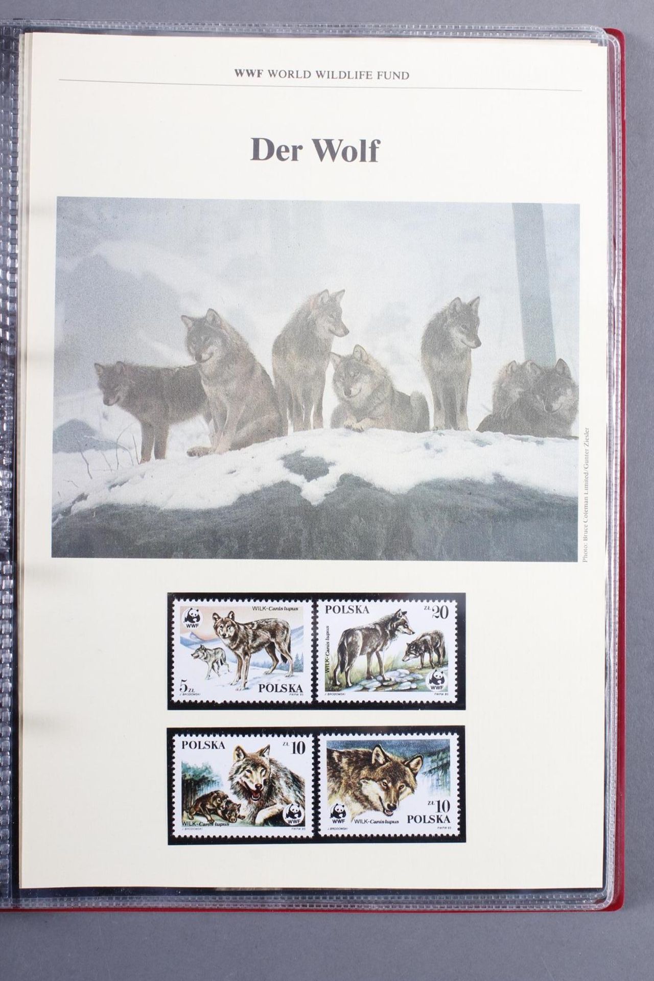 Briefmarken, Thema Tiere - Image 10 of 11