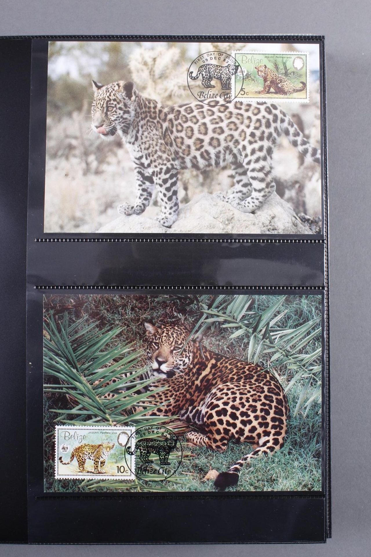 Briefmarken, Thema Tiere - Image 5 of 11