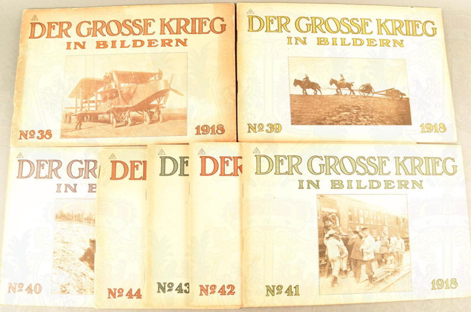 DER GROSSE KRIEG IN BILDERN 1918