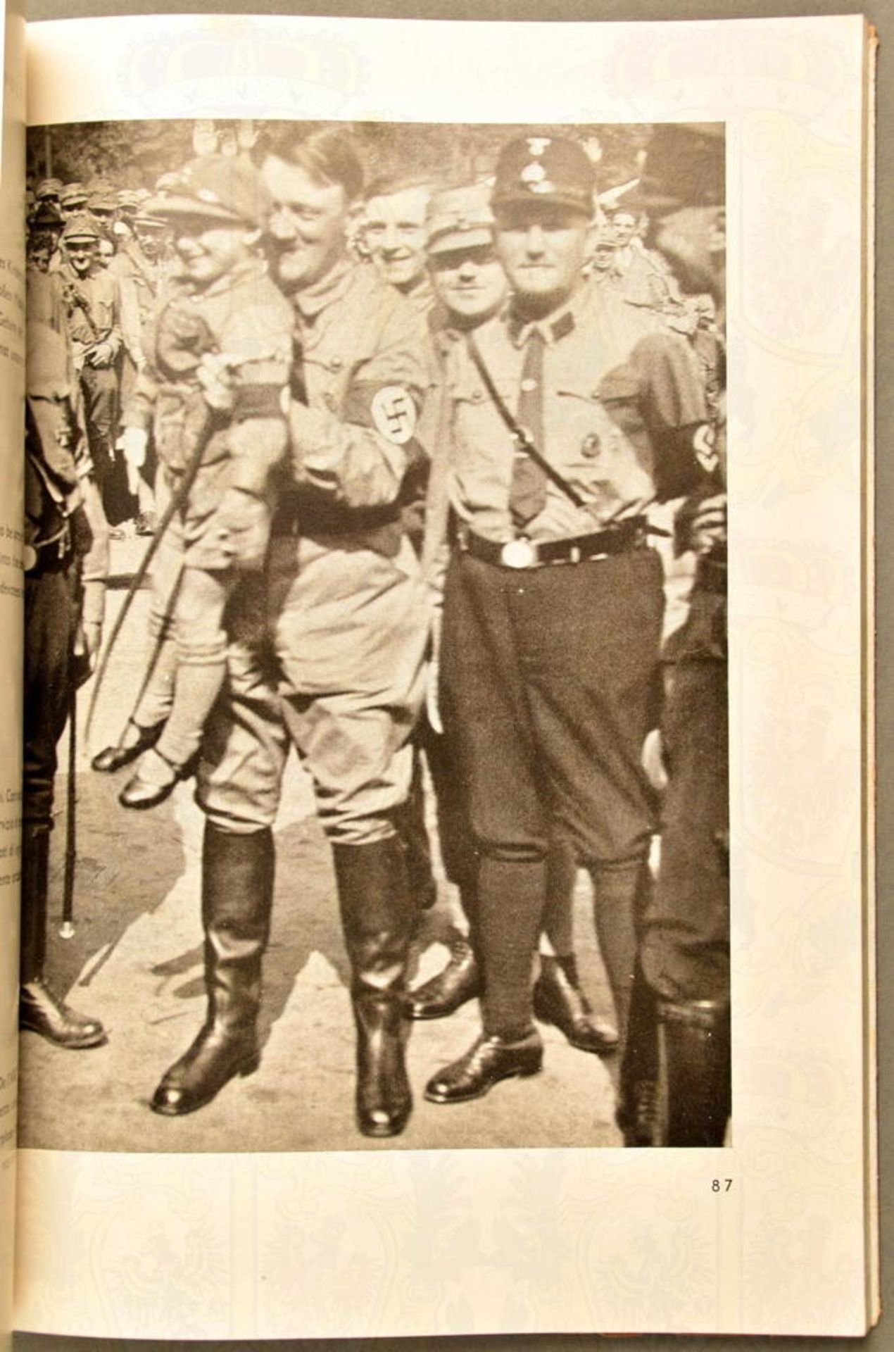 Hitler-eine Biographie in 134 Bildern - Bild 2 aus 2