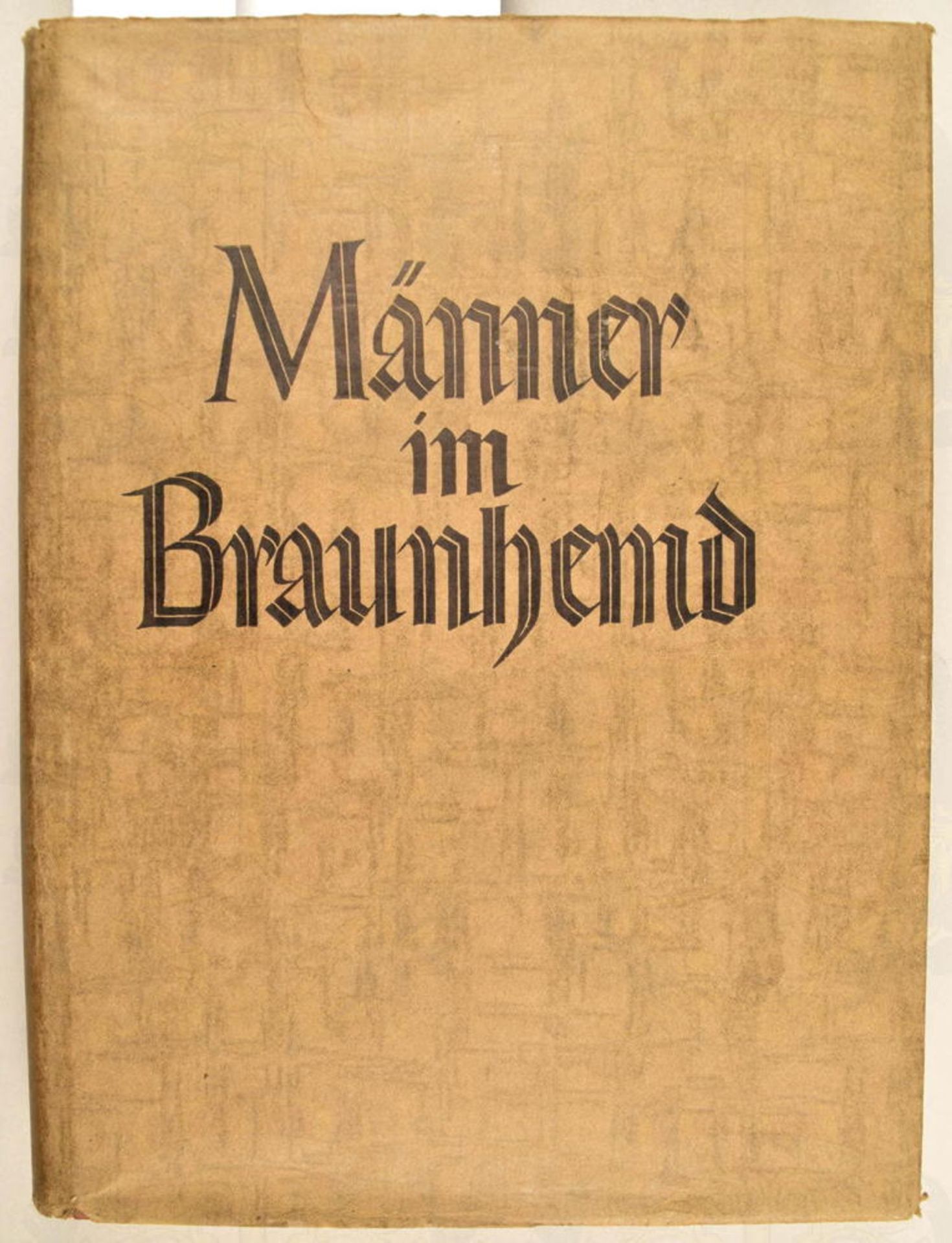 Männer im Braunhemd