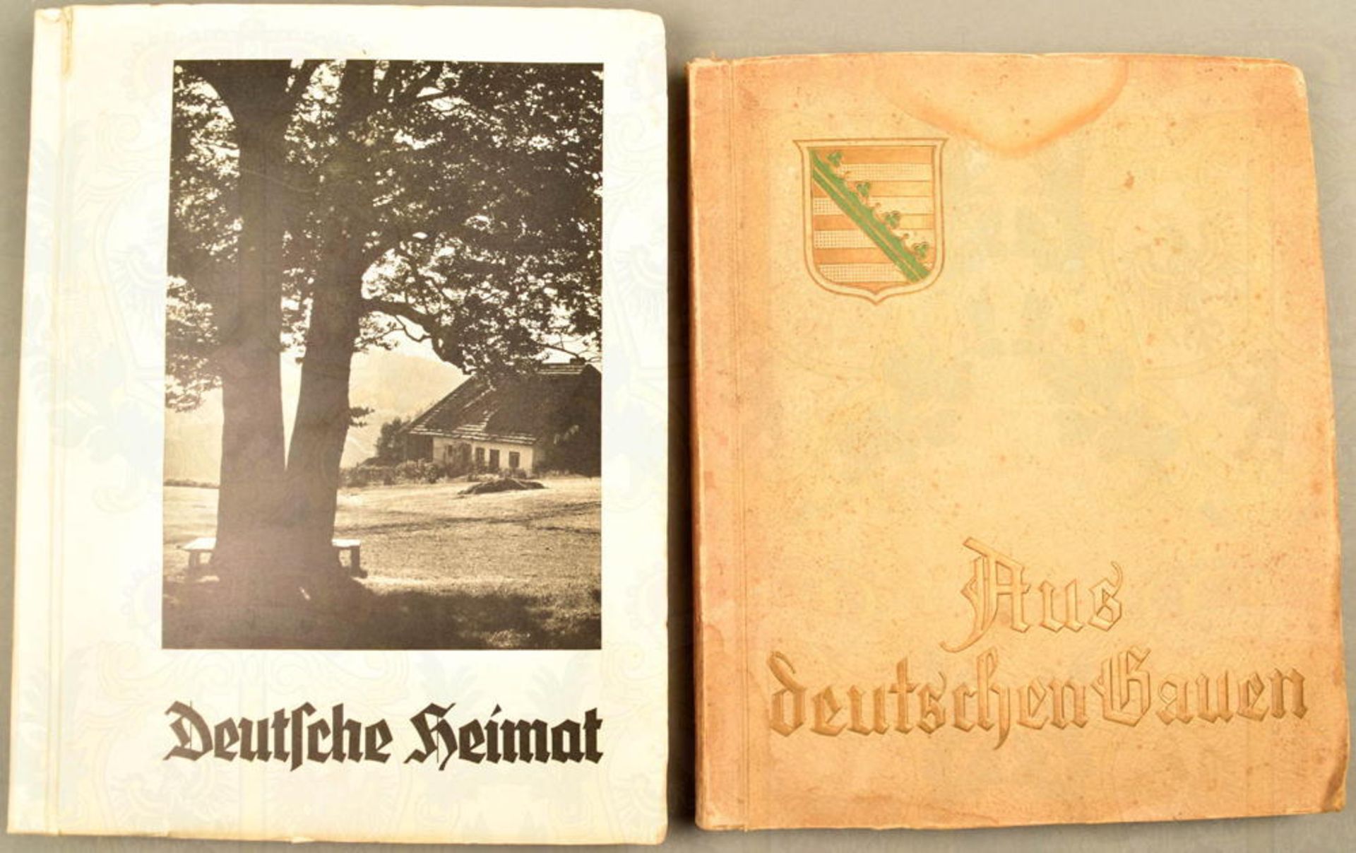 2 Alben Aus deutschen Gauen und Deutsche Heimat
