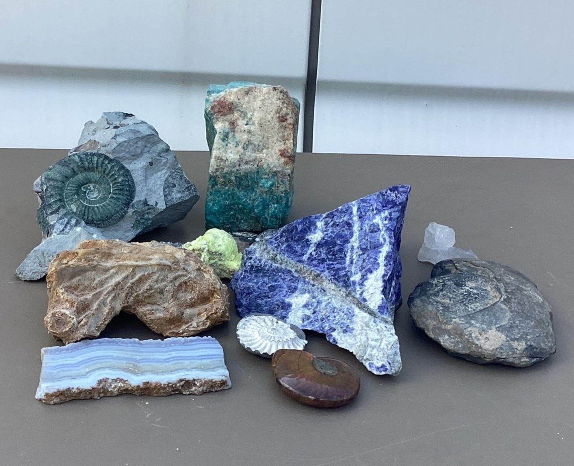 Konvolut Ammonite und diverse Kristalle