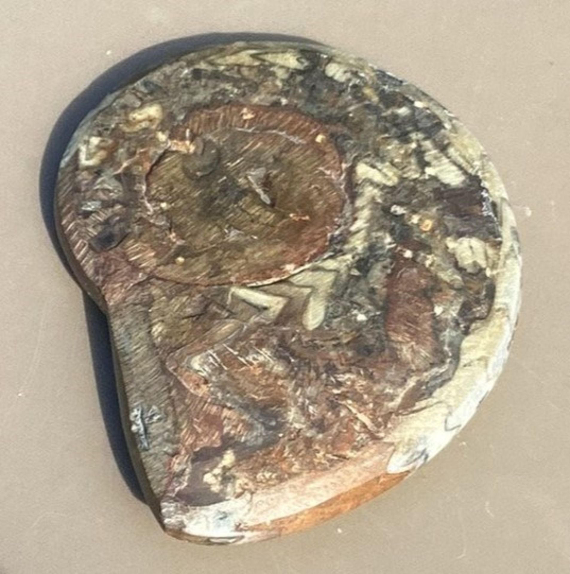 geschliffener Ammonit - Bild 2 aus 2