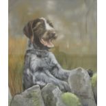 Pollyanna Pickering (1942-2018) Wire Haired Terrier signed, dated 92, watercolour, 44cm x 39cm