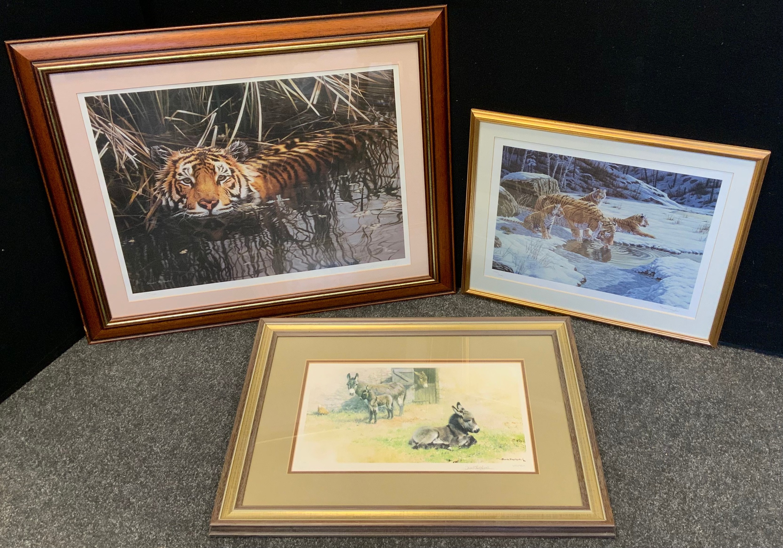 Prints - Steven Townsend, by and after, Swimming Tiger, signed, 174/750, 43cm x 57cm; Snowy River