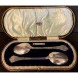 A pair of silver rattail and dog nose table spoons, London 1925, cased, 125g