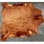 A Highland cow hide rug, 230cm x 220cm