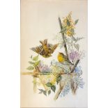 An opaque white glass panel, hand painted by Ray Hibbert, signed, garden birds amongst blossom,