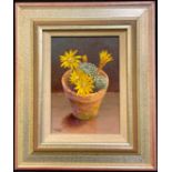 Richard Tratt SBA Yellow Flowered Rebutia signed, labelled to verso, oil on board, 19cm x 13cm