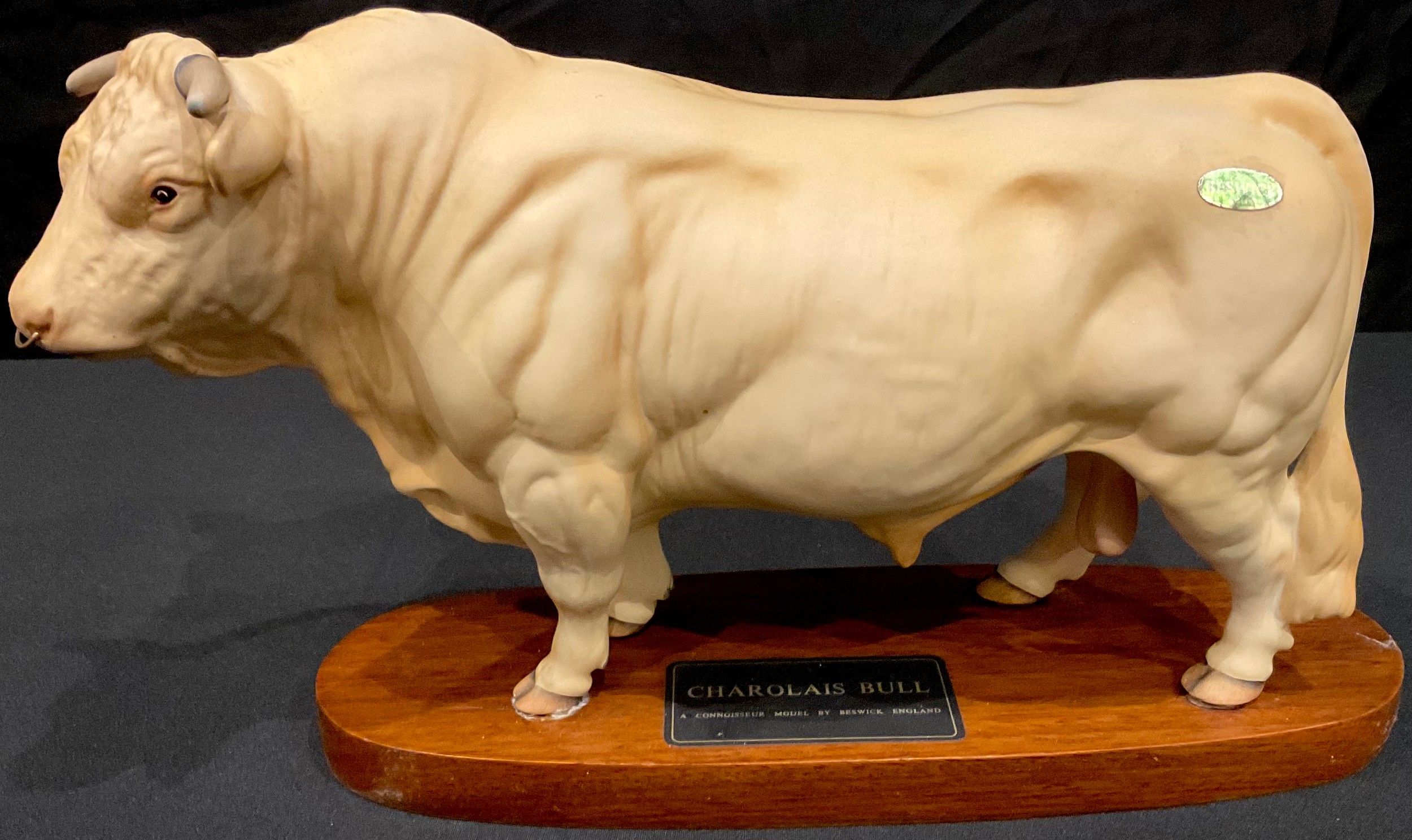 A Beswick Connoisseur model of a Charolais Bull, oval wooden plinth base