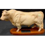 A Beswick Connoisseur model of a Charolais Bull, oval wooden plinth base