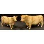 A Beswick model of a Charolais Bull and a Charolais Cow (2)