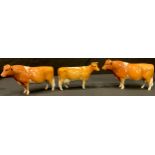 A Beswick model of a Guernsey Bull Ch. Sabrina's Sir Richmond 14th, another similar, a Guernsey Cow,