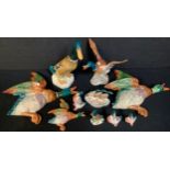 A Beswick model of a Mallard Duck, 24.5cm high, number 902, printed and impressed marks; other