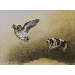 M.J. Atkinson (Contemporary Ornithological Artist) A Teal Duck and a Gun Dog monogrammed,