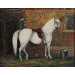 P.B. Pollington (Naive Equine Artist, late 19th/early 20th century) Portrait of a White Horse,