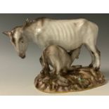 A Meissen group, of a donkey with suckling foal, modelled after by Johann Joachim Kändler (1706-