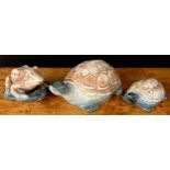 A Langley Mill Oakes period stoneware tortoise, 23cm long; another tortoise, 14cm long and a frog,