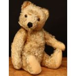 A Steiff (Germany) jointed golden mohair teddy bear, amber and black glass eyes, pronounced snout