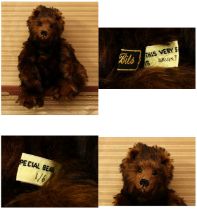 Bear Bits (Jean and Bill Ashburner) 'Bruin II' artist made jointed bear, brown/black tipped dense