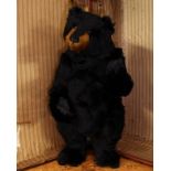 Bear Bits (Jean and Bill Ashburner) 'Dexter' artist made jointed teddy bear, black dense mohair,