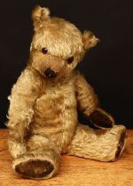 A 1920's/1930's golden mohair jointed, amber and black glass eyes, pronounced snout with brown