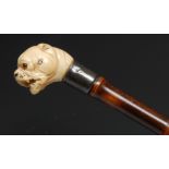 A 19th century gentleman's novelty walking stick, the handle carved as a bulldog, its mouth agape,