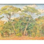 Crediton (South African School, 20th century) Veldt Landscape inscribed stretcher, oil on canvas,