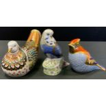 A Royal Crown Derby paperweight, Dove, gold stopper. printed mark; Violet Budgerigar; Waxwing (3)