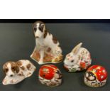 A Royal Crown Derby paperweight, Molly, gold stopper. printed mark; others, Scruff; Meadow Rabbit;