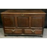 An 18th century oak mule chest, hinged top, three panel front, above two drawers, 79cm high, 128cm