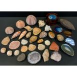 Natural History - shells, various ; agate eggs; ammonite; agate coasters; etc