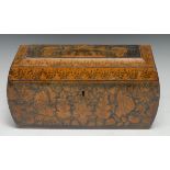 A Regency penwork bowed rectangular chinoiserie tea caddy, decorated with figures, insects and