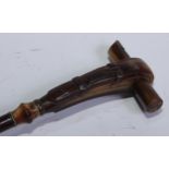 A 19th century walking stick, the horn handle as a buckle and whistle, polished hardwood cane,