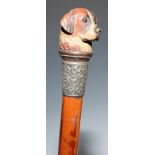 A Black Forest novelty walking cane handle, carved as the head of a St Bernard dog, malacca shaft,