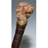 A 19th century novelty walking stick, the handle well carved as the head of a dog, glass eyes,