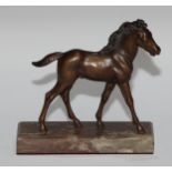 Continental School (first half 20th century), a brown patinated equestrian bronze, of a foal,