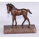 Continental School (first-half 20th century), a brown patinated equestrian bronze, of a foal,