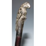 A novelty walking stick, the handle cast as a parrot, hardwood cane, 87cm long