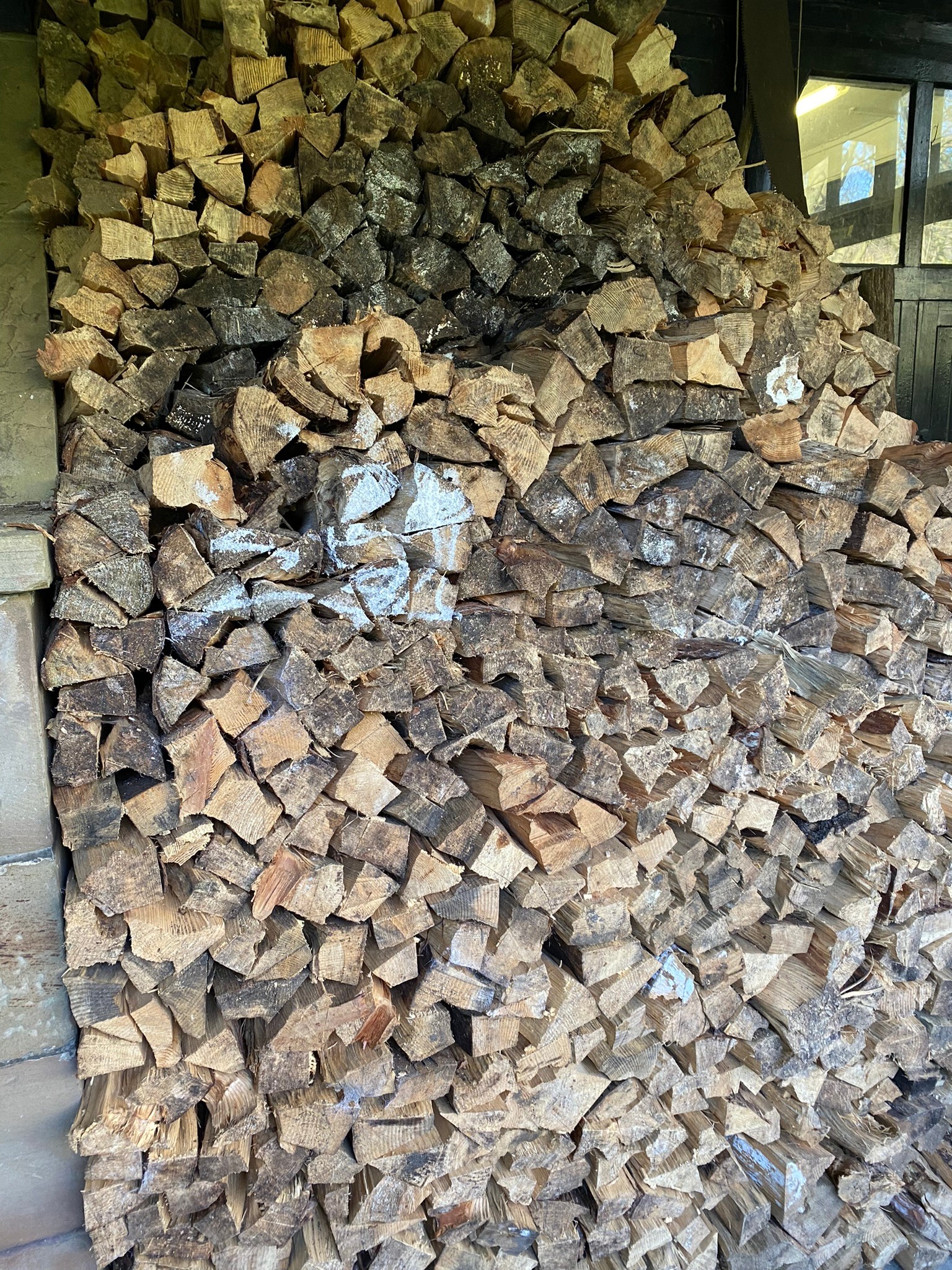 A huge quantity of firewood. ** We would please ask that all payments are made by 12pm on Thursday - Image 2 of 2