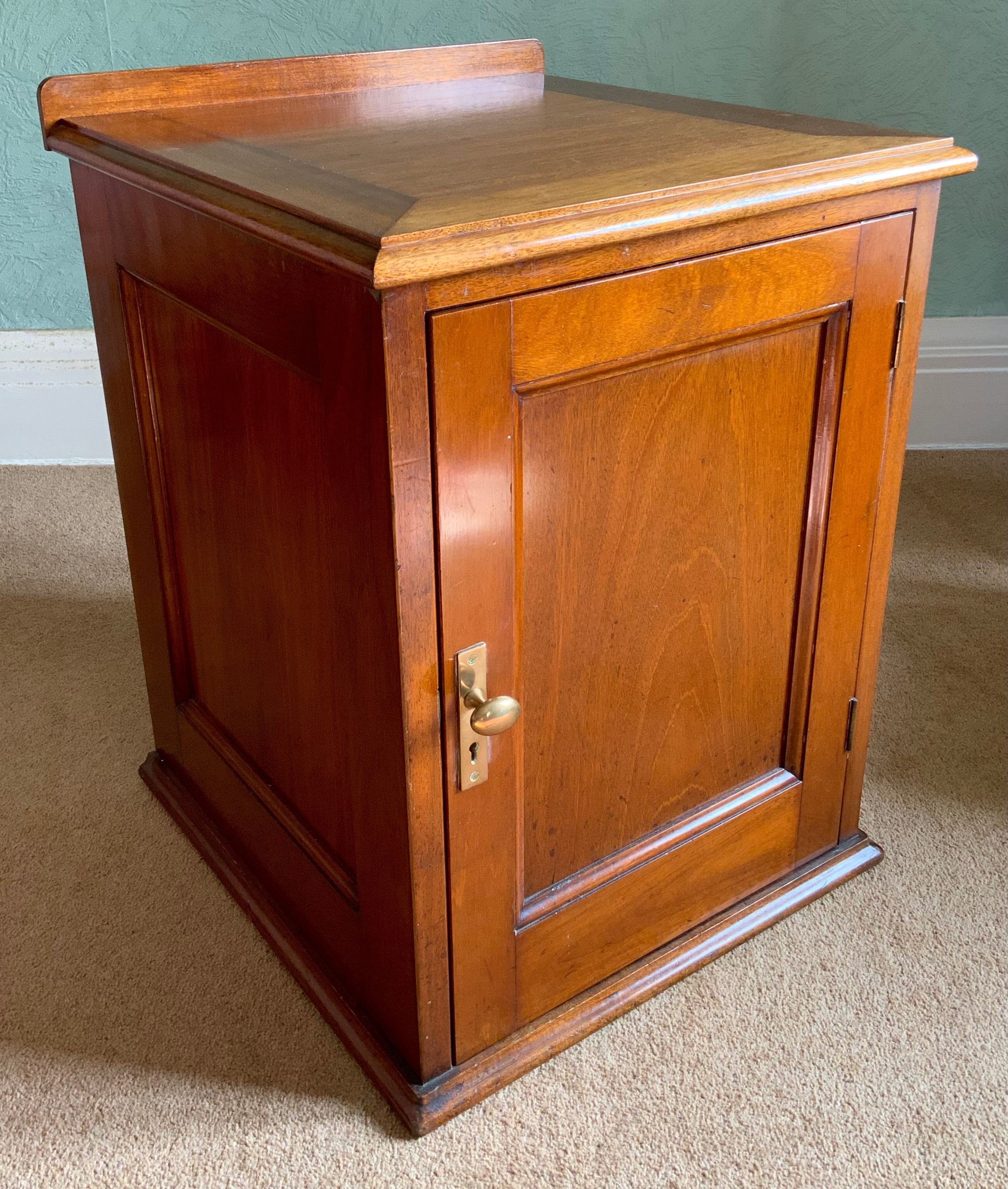 A 19th century mahogany bedside cabinet, fielded panelled door, enclosing two shelves, 66cm high,