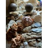 Natural History - a stalagmite; desert rose; fool's gold; coral; shells; etc ** We would please