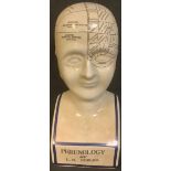 A reproduction phrenology head, 40cm high