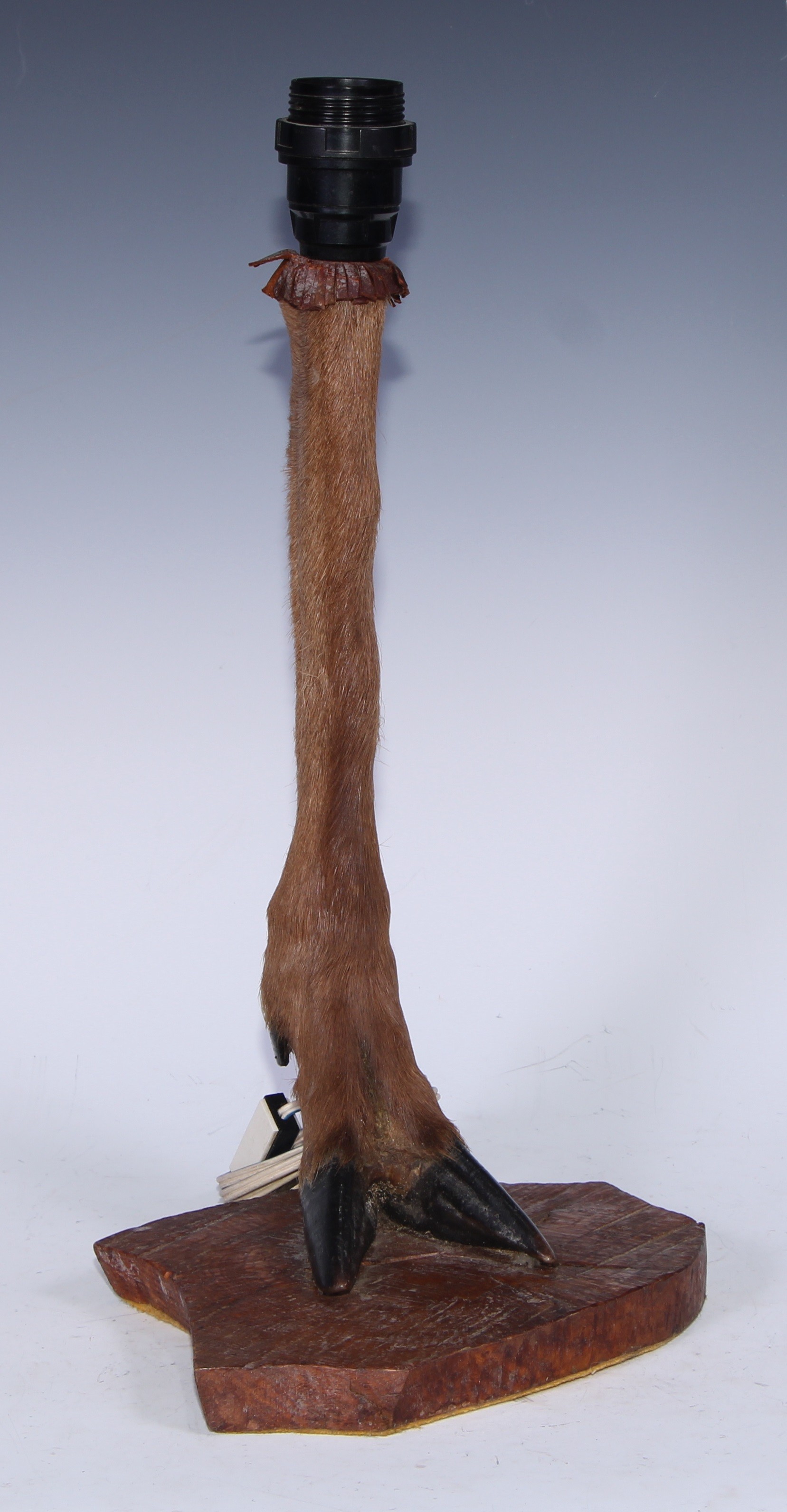 Taxidermy - a deer hoof, leg and forelock, mounted as a table lamp, rustic wood base, 42.5cm high