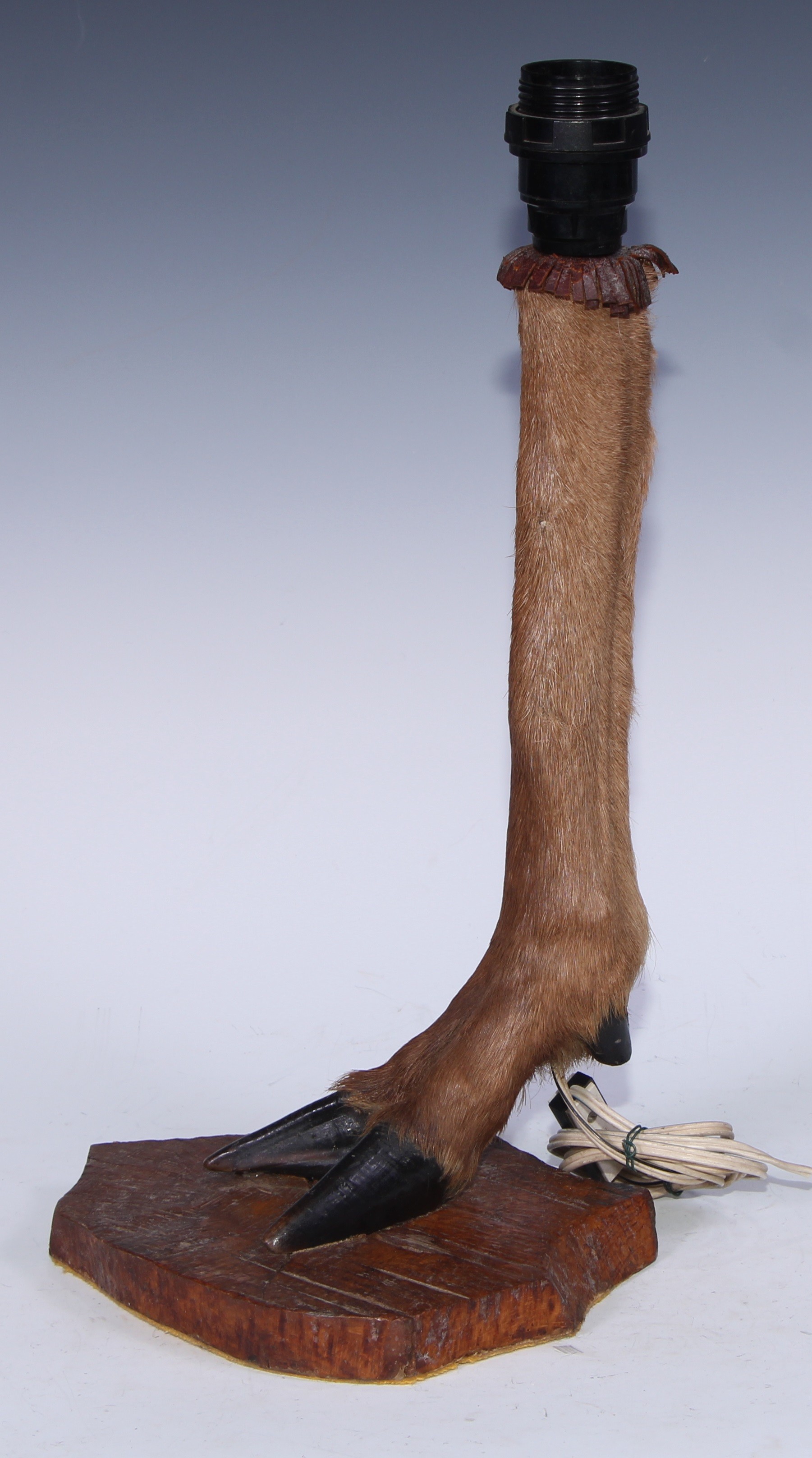 Taxidermy - a deer hoof, leg and forelock, mounted as a table lamp, rustic wood base, 42.5cm high - Bild 2 aus 2