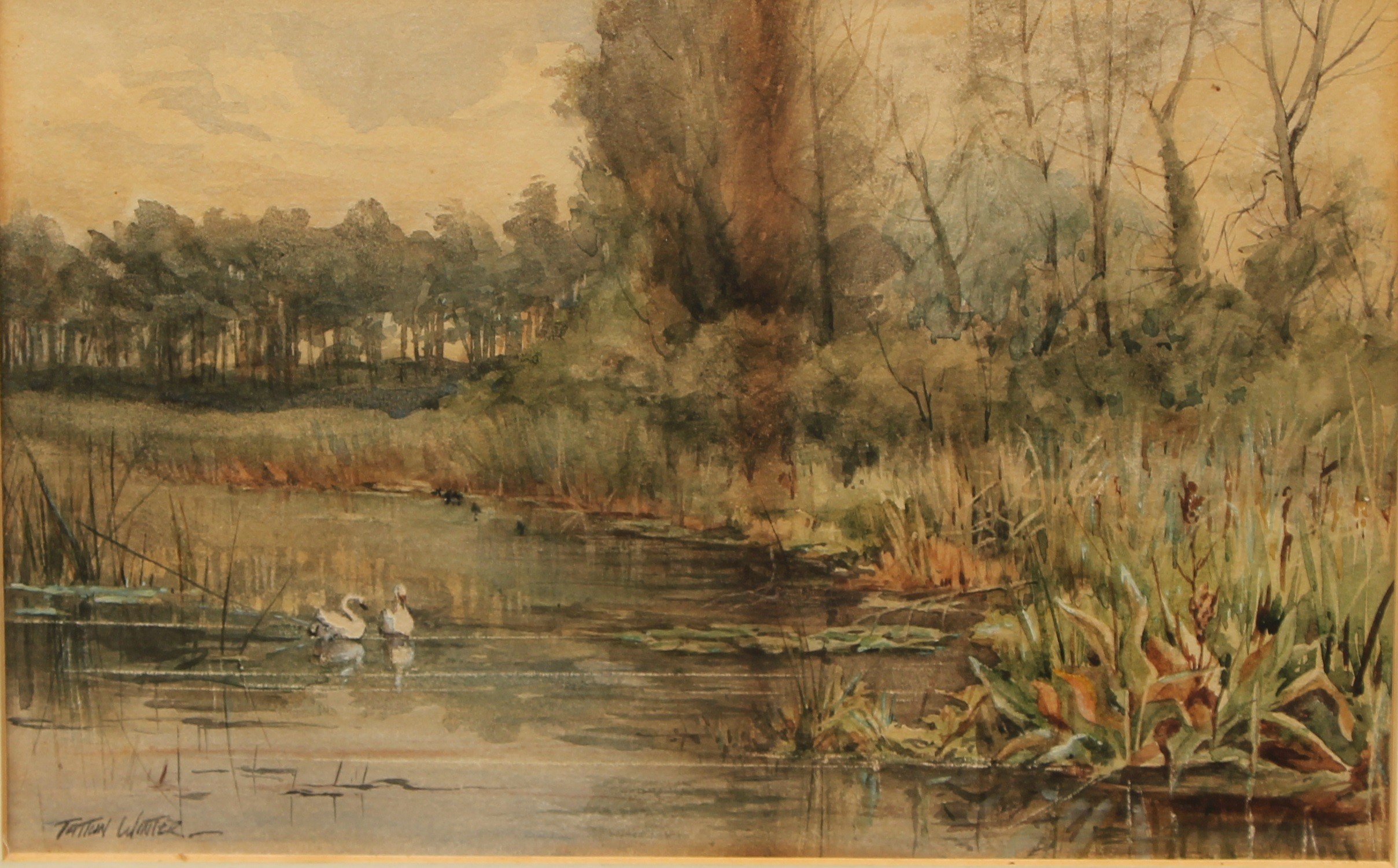 William Tatton Winter (1855-1928) Swans on a Lake signed, watercolour, 20.5cm x 32cm