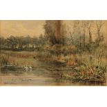 William Tatton Winter (1855-1928) Swans on a Lake signed, watercolour, 20.5cm x 32cm