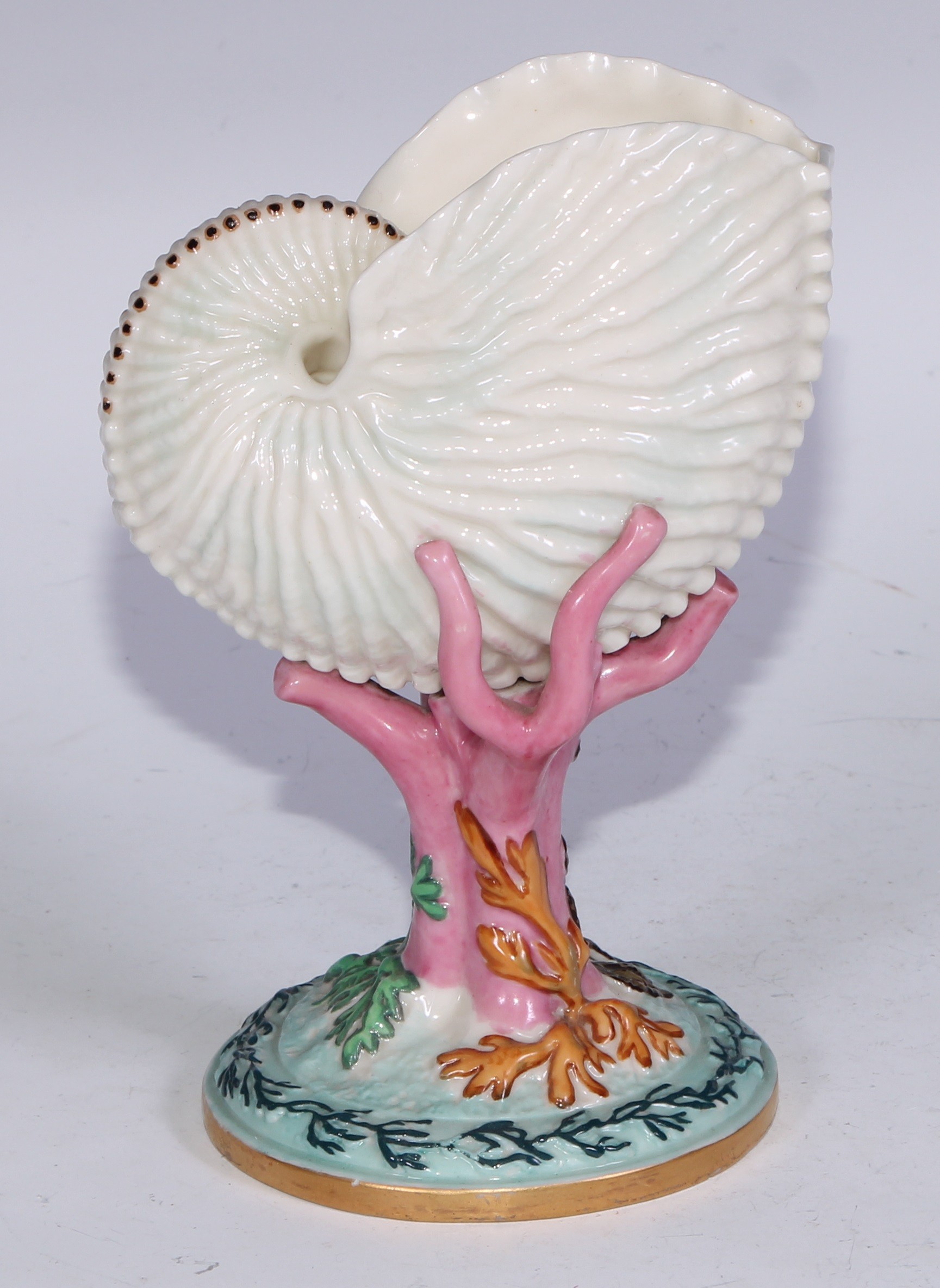 A Royal Worcester vase, naturalistically modelled as a nautilus shell upon a coral specimen, 16cm - Bild 2 aus 11