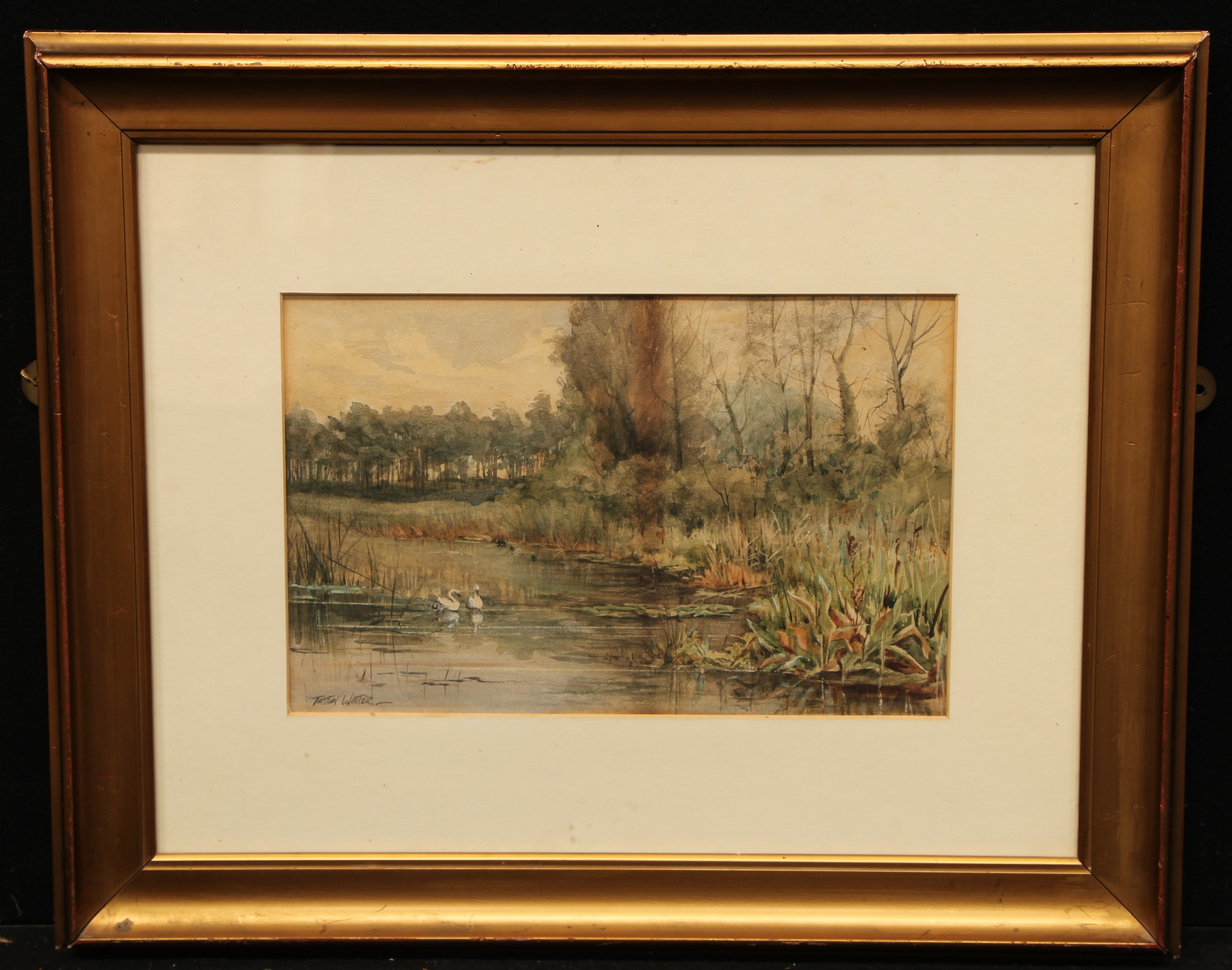 William Tatton Winter (1855-1928) Swans on a Lake signed, watercolour, 20.5cm x 32cm - Image 2 of 4